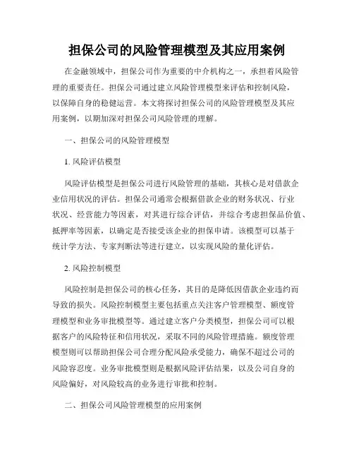 担保公司的风险管理模型及其应用案例