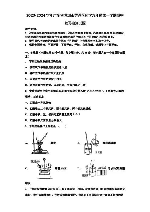 2023-2024学年广东省深圳市罗湖区化学九年级第一学期期中复习检测试题含解析