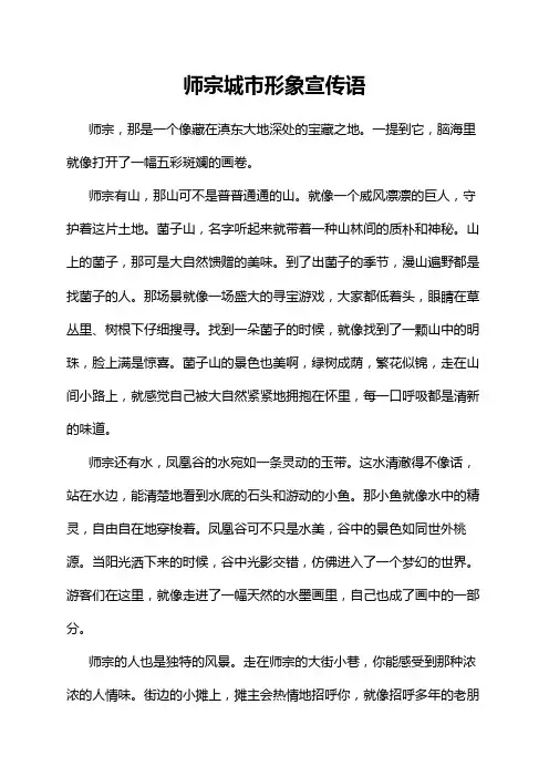 师宗城市形象宣传语