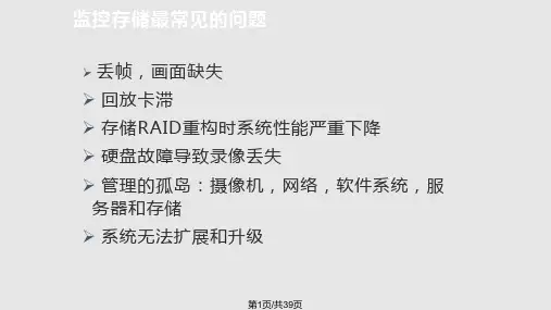 存储视频存储PPT课件