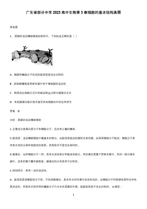 广东省部分中学2023高中生物第3章细胞的基本结构真题