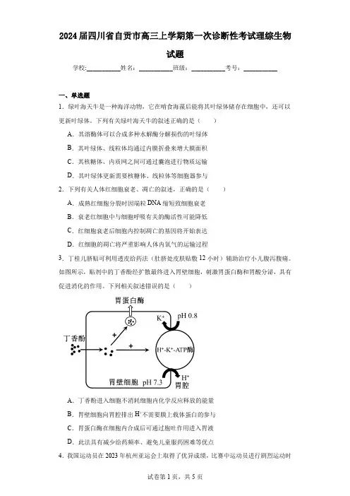 2024届四川省自贡市高三上学期第一次诊断性考试理综生物试题