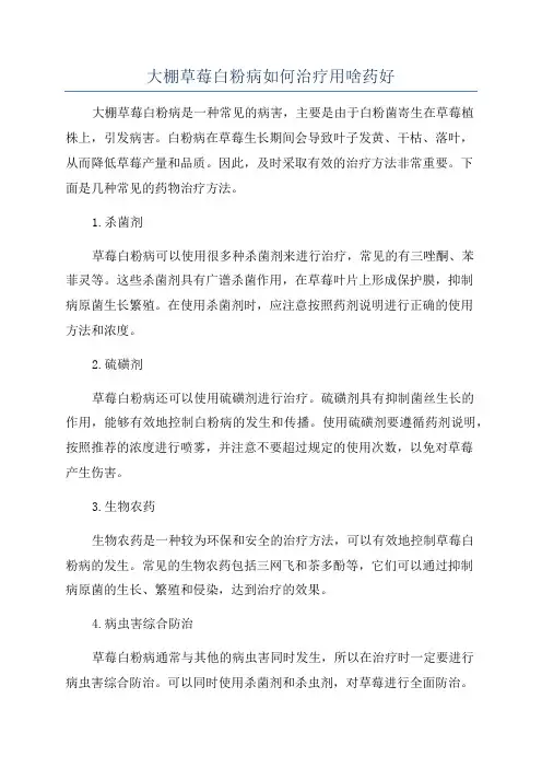 大棚草莓白粉病如何治疗用啥药好