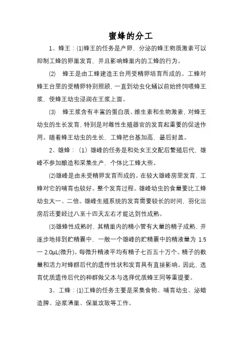 蜜蜂的分工