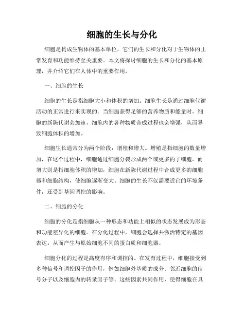 细胞的生长与分化