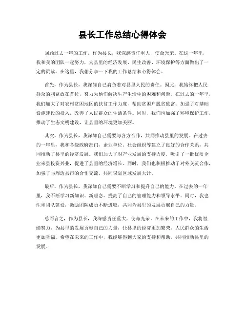 县长工作总结心得体会