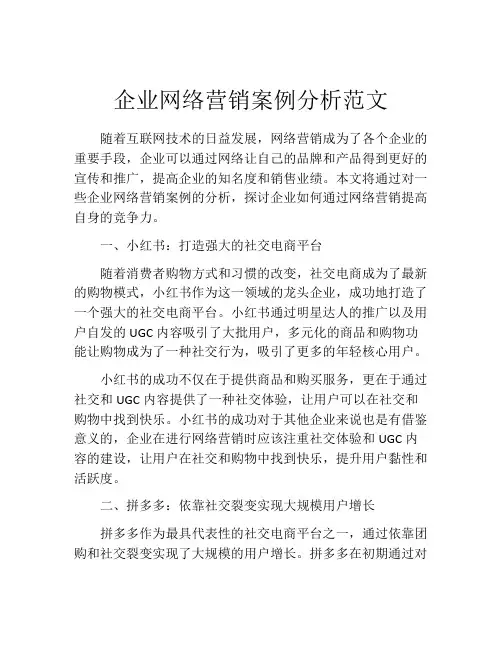企业网络营销案例分析范文