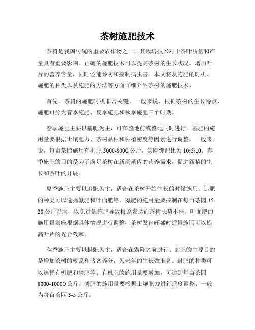 茶树施肥技术