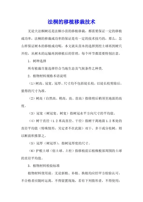 法桐的移植移栽技术