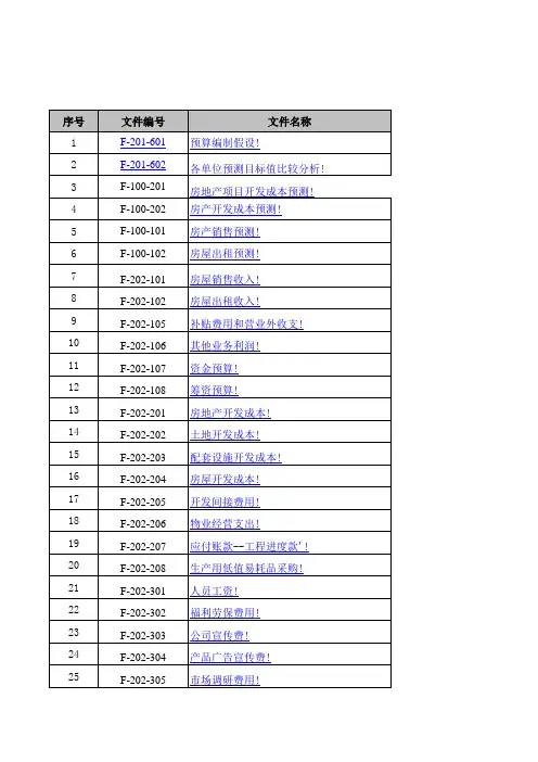 项目公司预算表