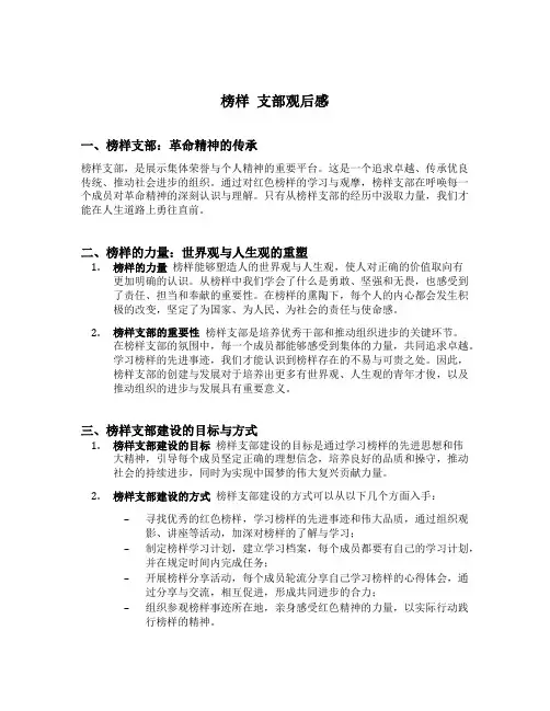 榜样 支部观后感