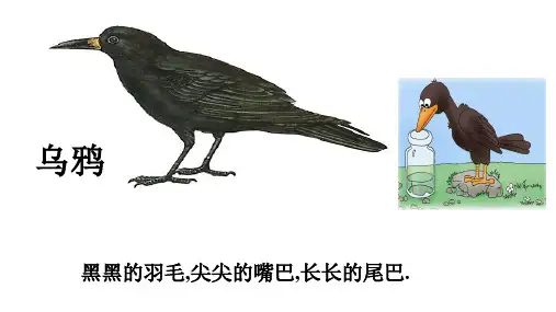 一年级上册语文优秀PPT《乌鸦喝水》 新部编版