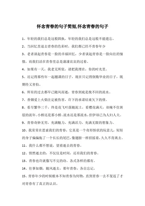 怀念青春的句子简短,怀念青春的句子