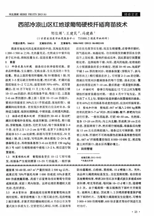 西部冷凉山区红地球葡萄硬枝扦插育苗技术