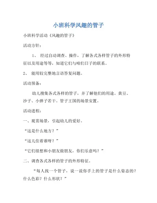 小班科学有趣的管子