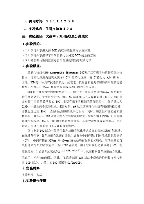 大蒜sod的提取分离和纯化