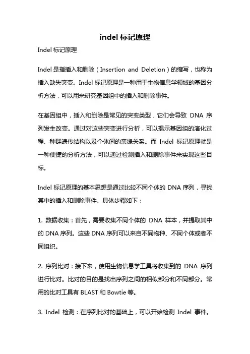 indel标记原理