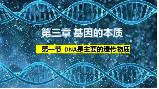 【课件】DNA是主要的遗传物质第1课时课件高一下学期生物人教版必修2