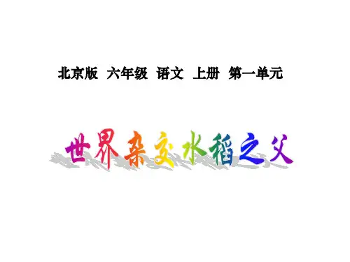 北京版语文六年级上册《世界杂交水稻之父3》课件