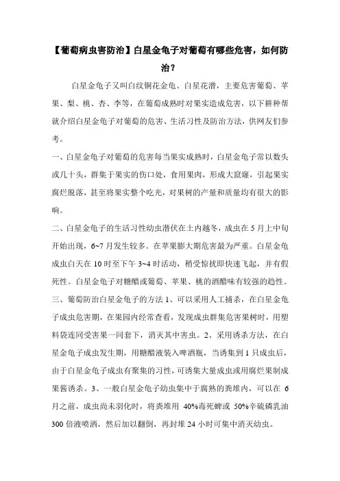 【葡萄病虫害防治】白星金龟子对葡萄有哪些危害,如何防治？