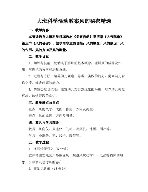 大班科学活动教案风的秘密精选