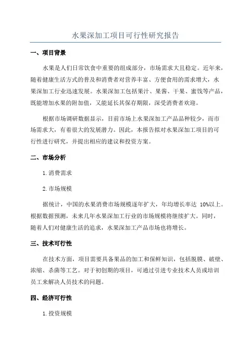 水果深加工项目可行性研究报告