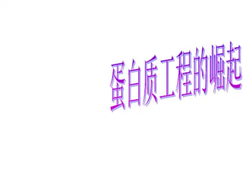 蛋白质工程的崛起  课件