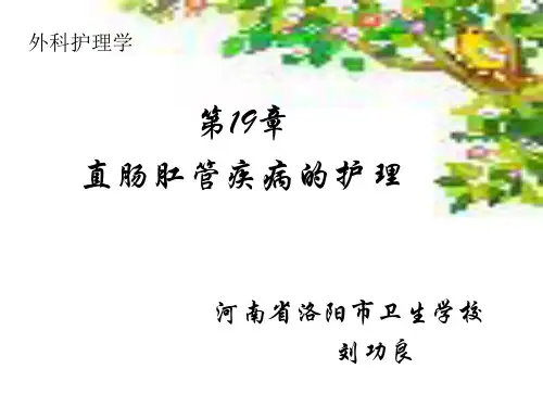 外科护理学第章直肠肛管疾病病人的护理ppt课件