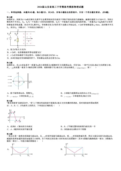 2024届山东省高三下学期高考模拟物理试题