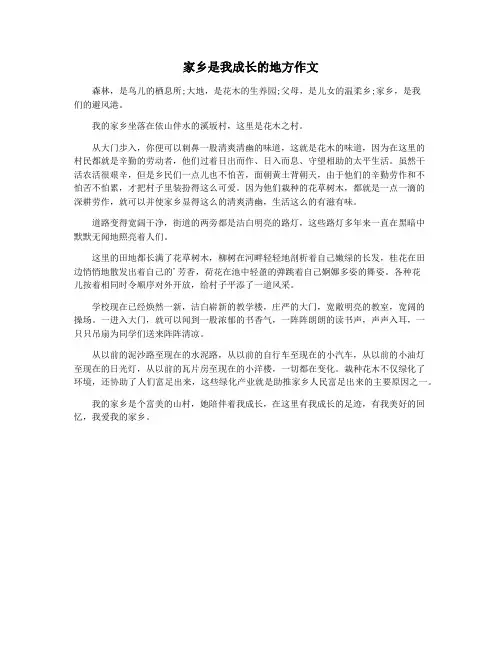 家乡是我成长的地方作文
