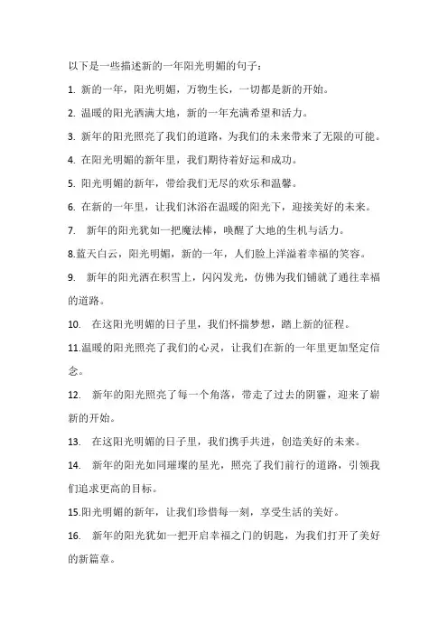 新的一年阳光明媚的句子