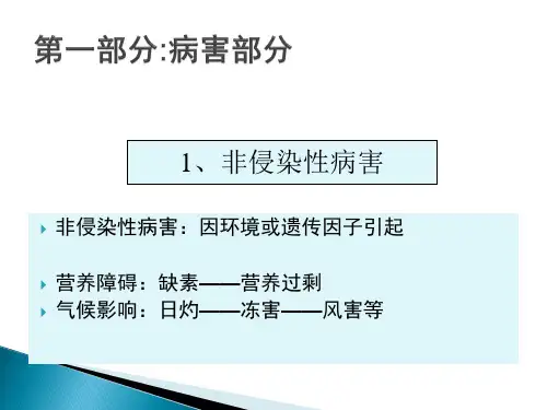 柑橘病虫害识别图谱