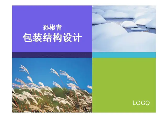 包装结构设计