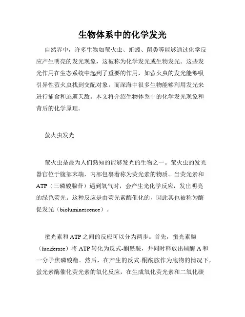 生物体系中的化学发光
