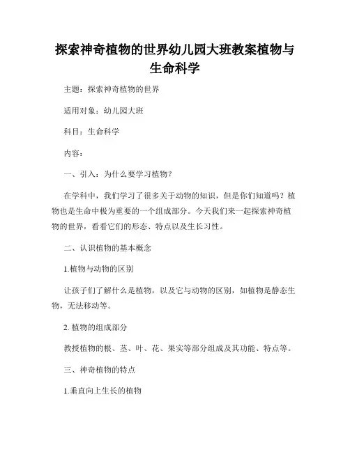 探索神奇植物的世界幼儿园大班教案植物与生命科学