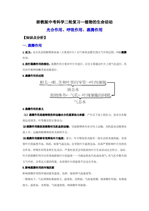 6-植物的生命活动(解析版)