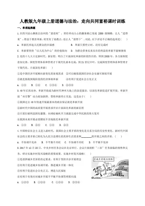 人教版九年级上册道德与法治：走向共同富裕课时训练