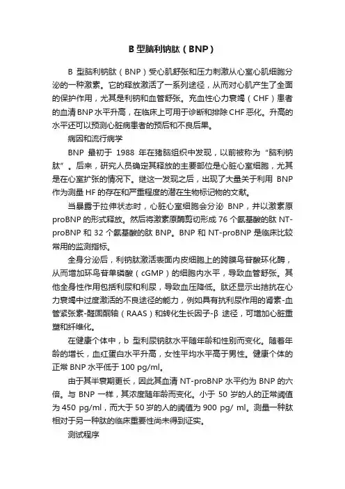 B型脑利钠肽（BNP）