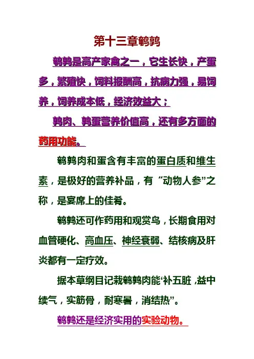 鹌鹑的饲养技术