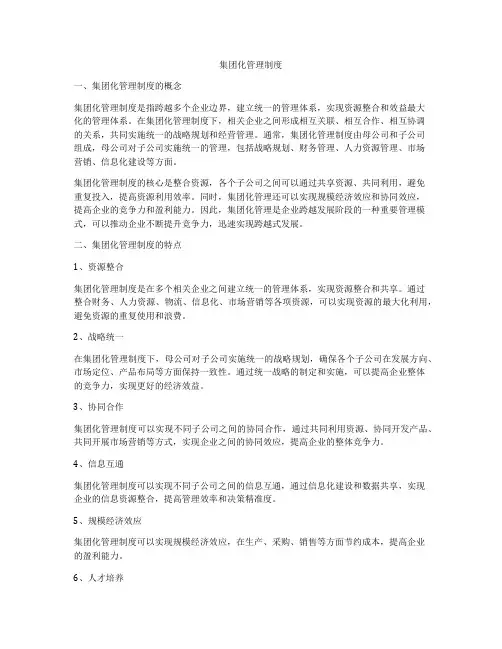 集团化管理制度