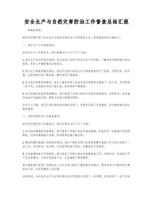 安全生产与自然灾害防治工作督查总结汇报