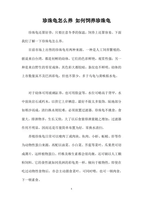 珍珠龟怎么养如何饲养珍珠龟