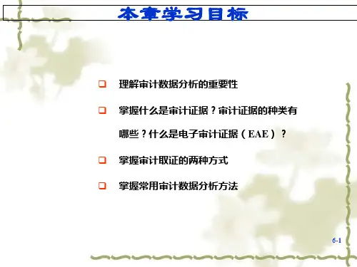 审计数据分析培训课件(PPT 55页)