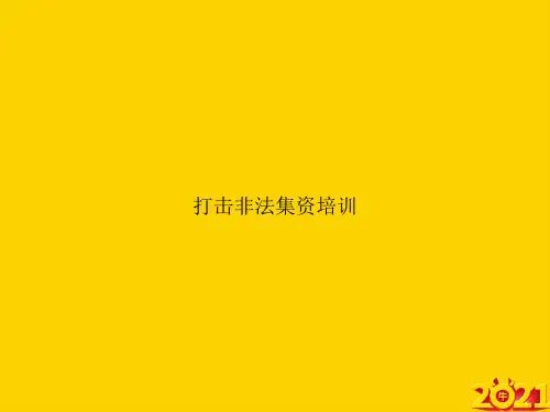 打击非法集资培训ppt正式完整版