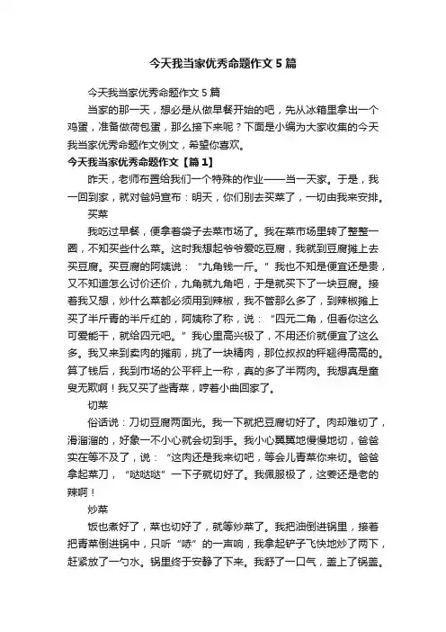 今天我当家优秀命题作文5篇