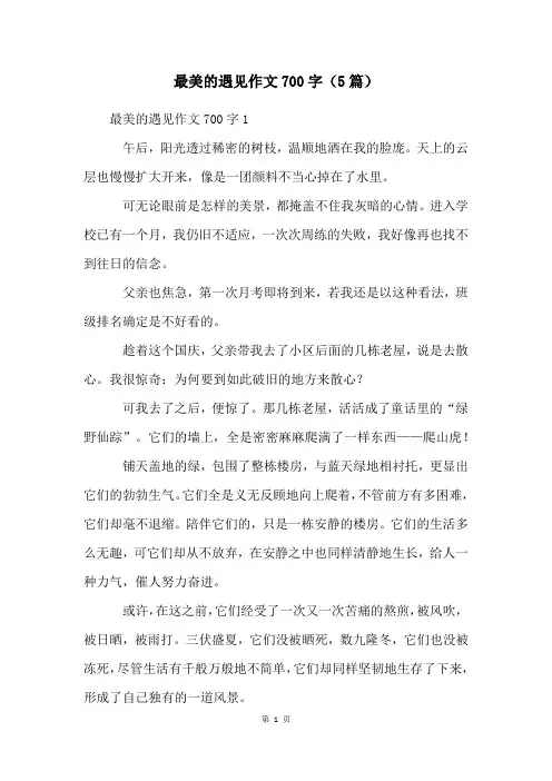 最美的遇见作文700字(5篇)