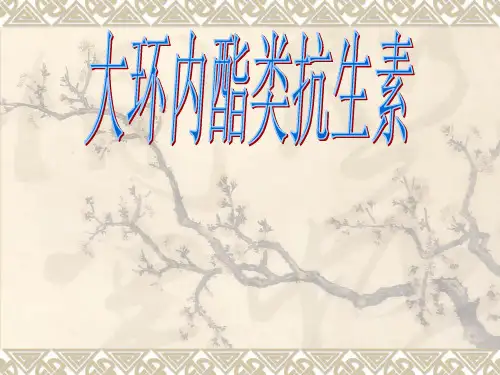 大环内酯类抗生素