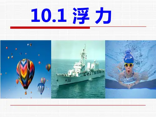 《浮力》课件ppt