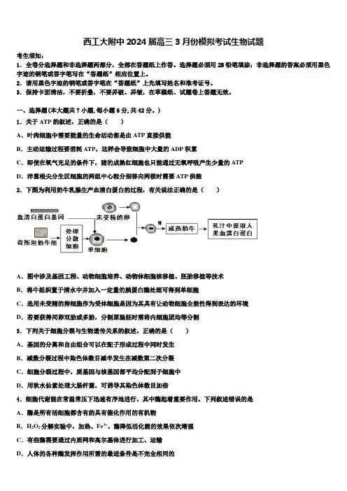 西工大附中2024届高三3月份模拟考试生物试题含解析