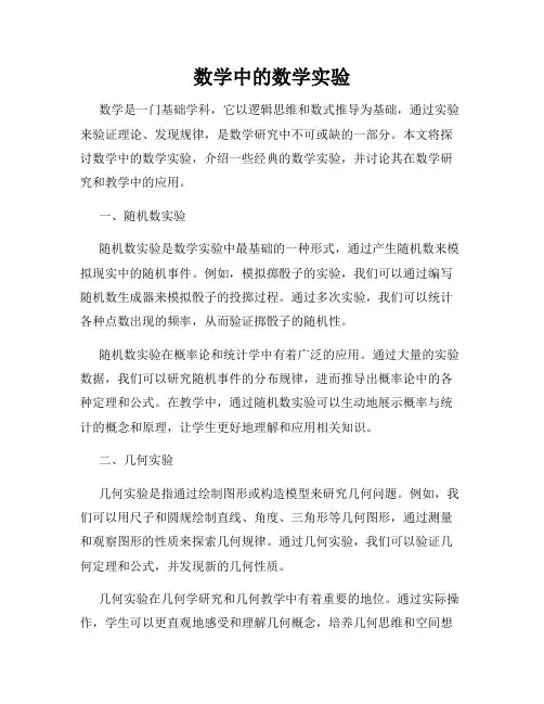 数学中的数学实验